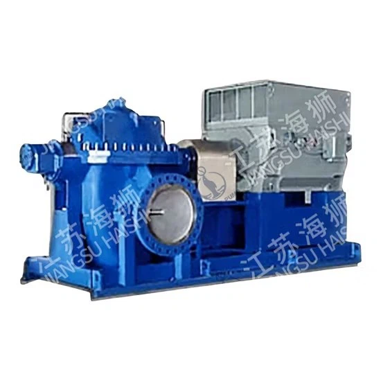 Circulating Closed Haishi Plywood Box High Pressure Chemical Process Pump factory